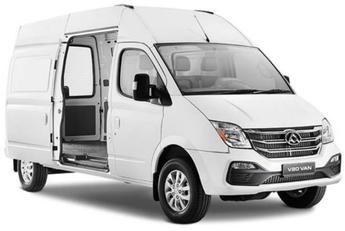 LDV V80