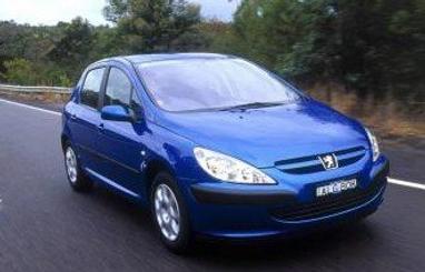 Complete guide to Peugeot 307 2005