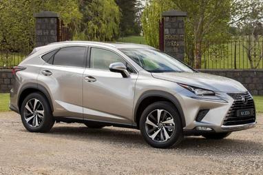 Lexus NX300H 2022
