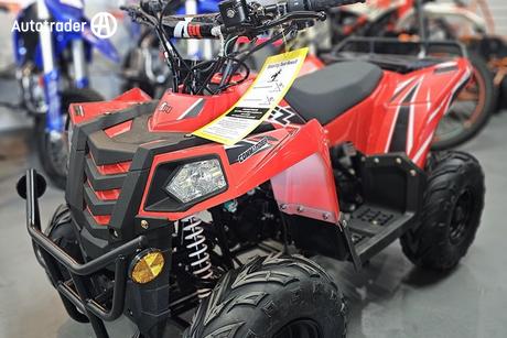 Red 2025 Other Other ATV