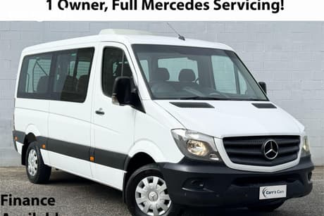 White 2017 Mercedes-Benz Sprinter Bus Transfer (313)