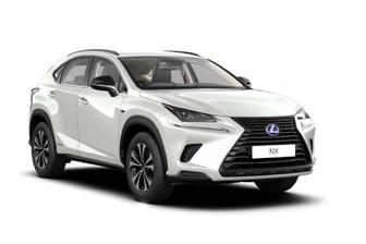 Grey 2020 Lexus NX300 Wagon Luxury (Fwd)