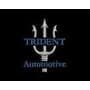Trident Automotive avatar